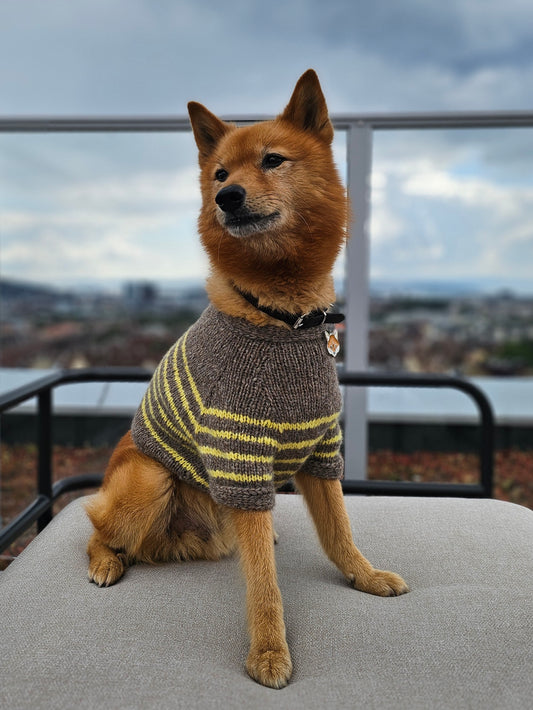 Retro French Sailor Top for Dogs