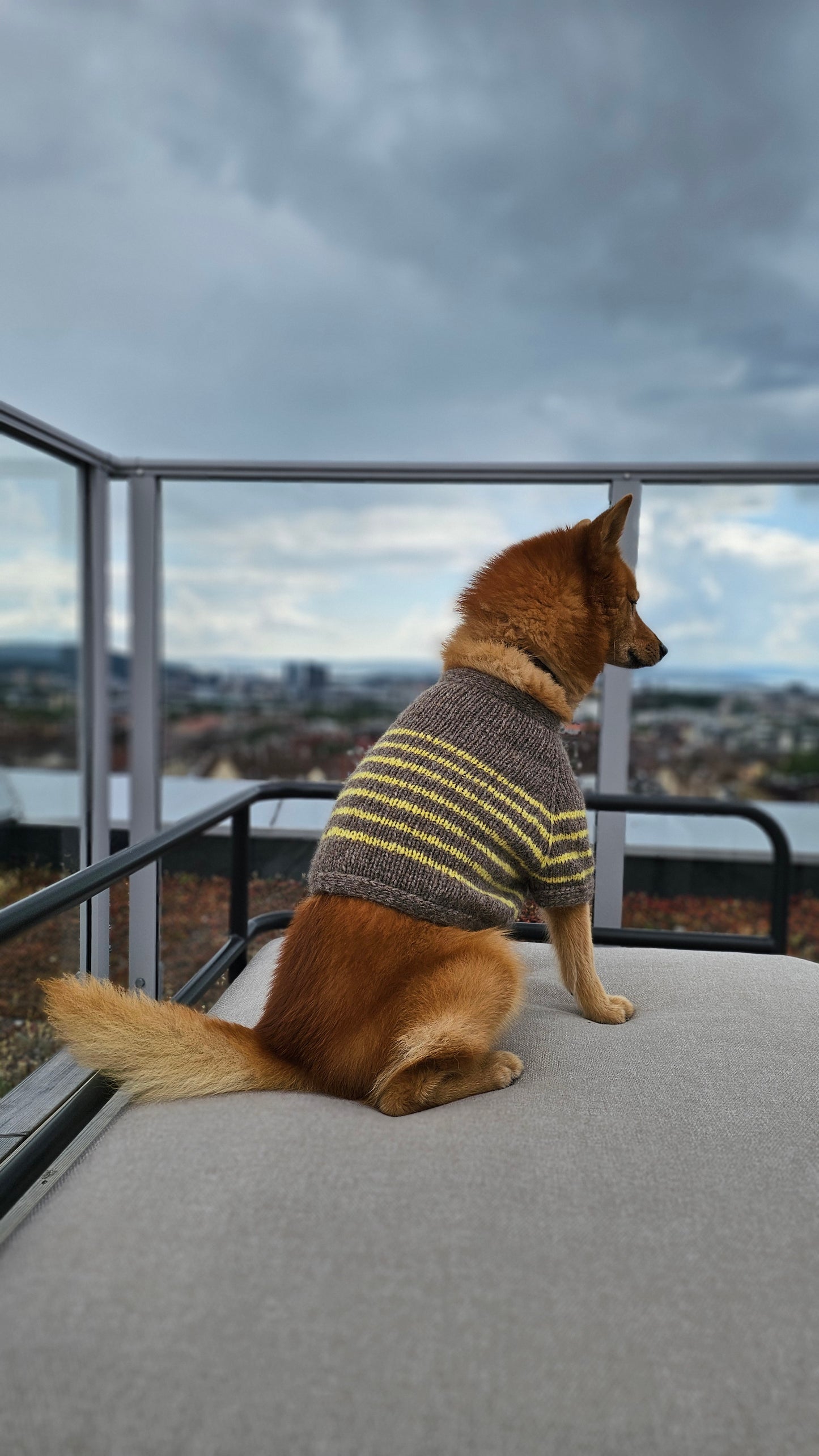 Retro French Sailor Top for Dogs