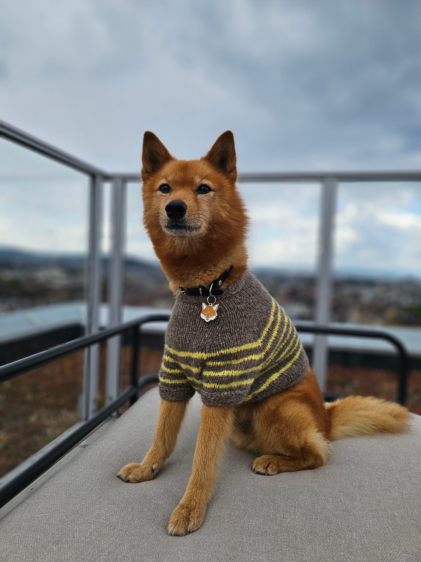 Retro French Sailor Top for Dogs